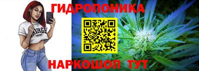 метадон Гай