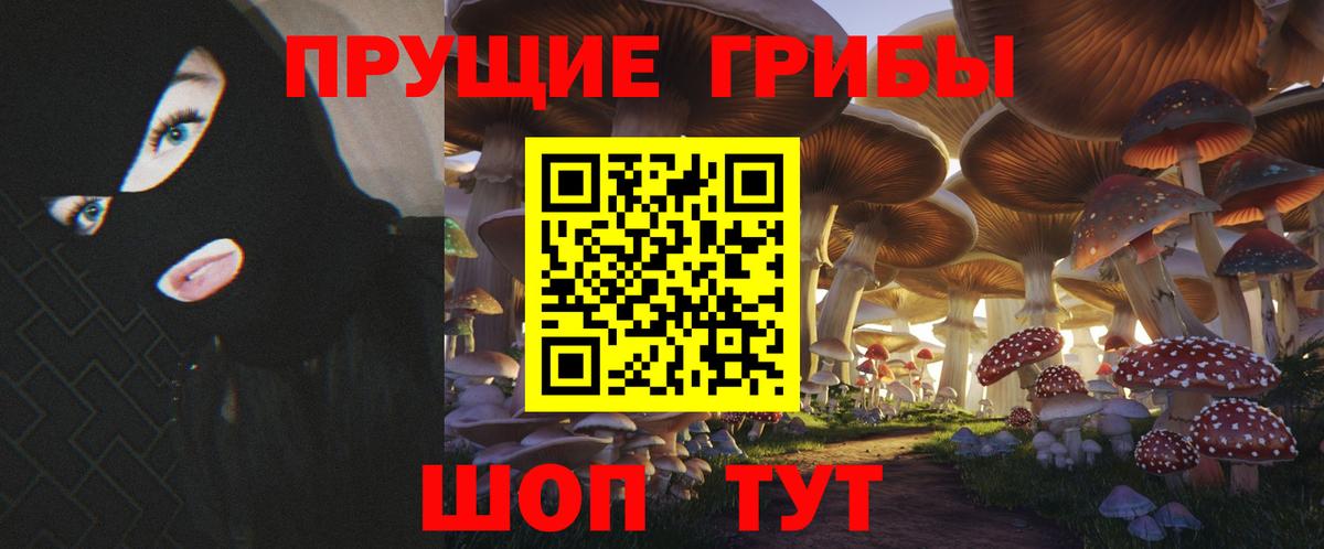 Псилоцибиновые грибы прущие грибы  Псилоцибиновые грибы прущие грибы  Вход с VPN  Знаменск 