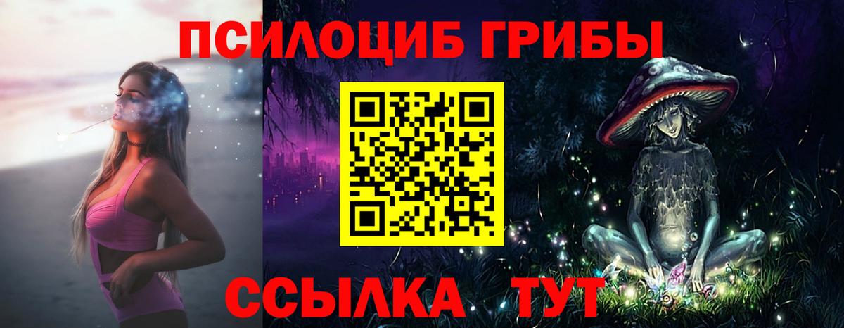 Галлюциногенные грибы Cubensis  Знаменск 