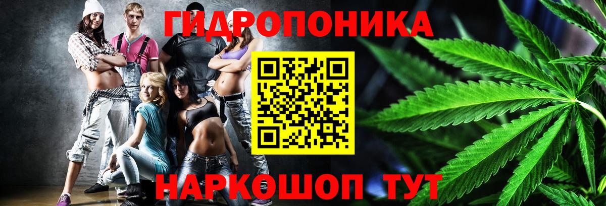 Марихуана семена Знаменск